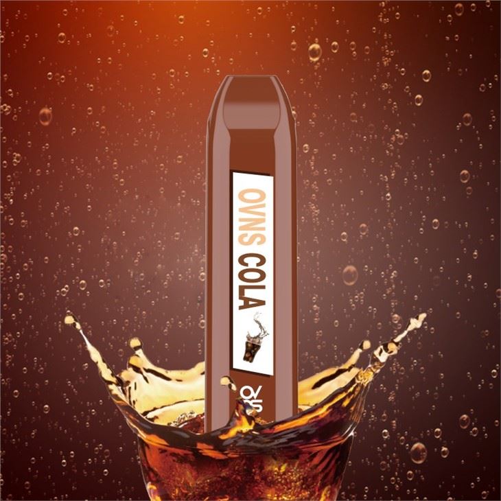 Disposable Vapor Pen E Juice 5% Nicotine Salt 500 Puff Electronic Cigarette