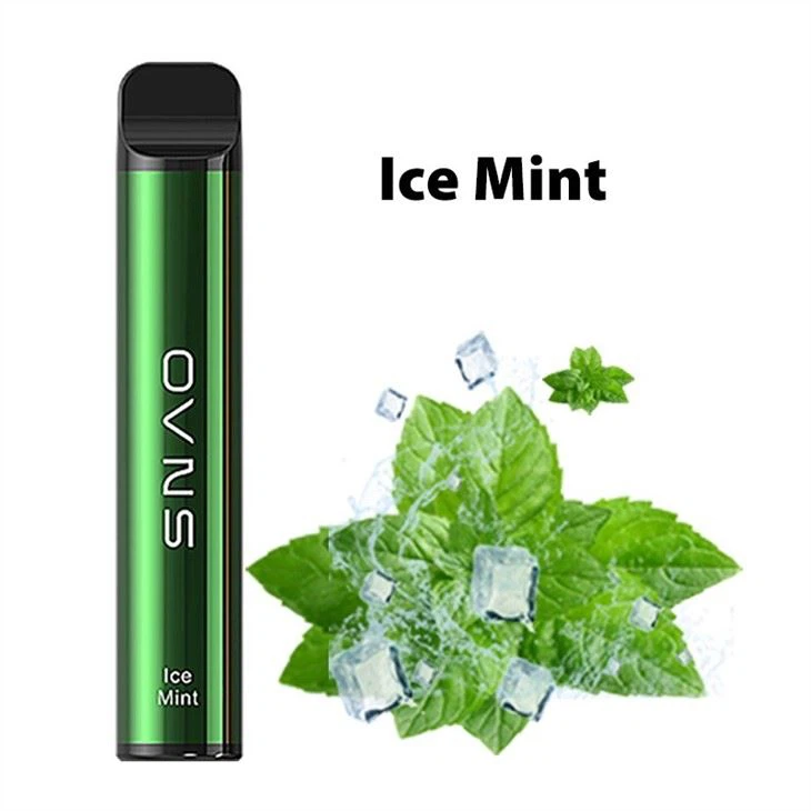 Iget Wholesale Disposable Vape Electronic Iget Wholesale Disposable Vape Electronic