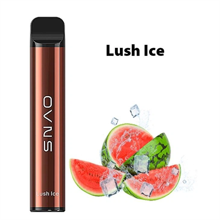 Iget Wholesale Disposable Vape Electronic Iget Wholesale Disposable Vape Electronic
